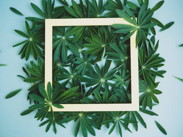 istock composition with green leaves and empty yellow frame. Creative layout of nature. copy space 1400303056