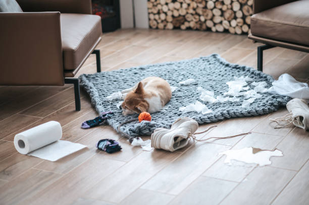istock Little puppy making mess in the room 1400305218