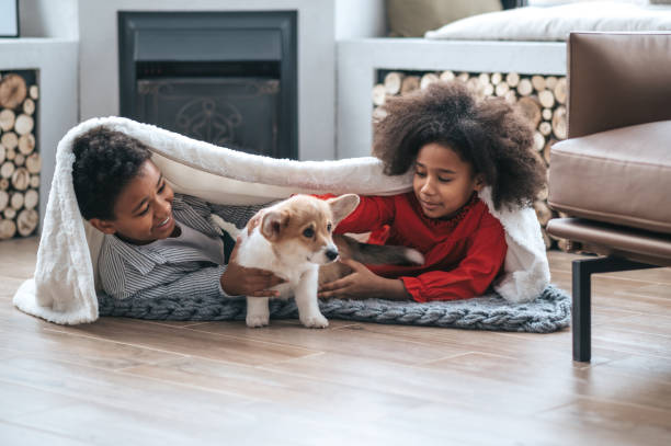 istock Kids put the blanket on and playing with a puppy 1400305225