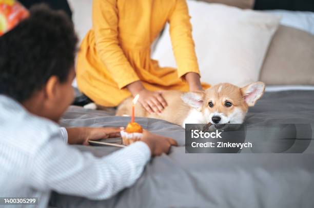 Two Kids Celebrating Puppys Bday And Offering Him A Pancake Stock Photo - Download Image Now