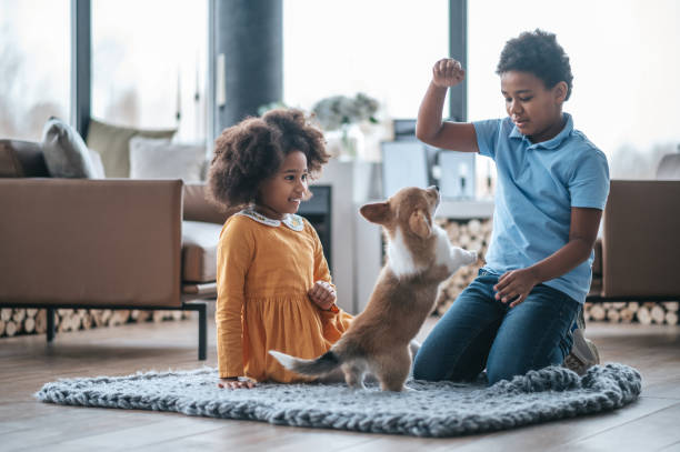 istock Two kids training the little dog and looking involved 1400305307