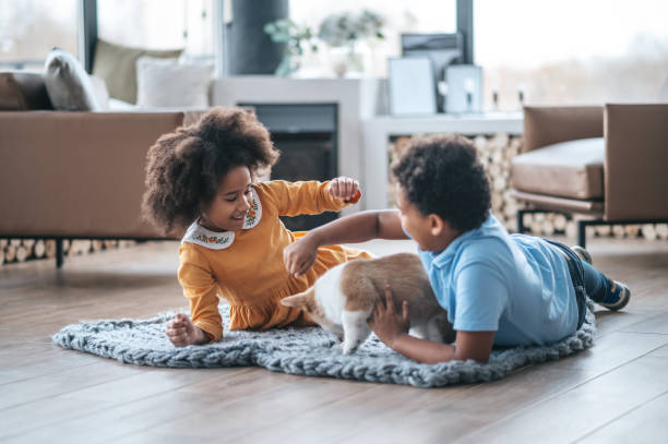 istock Two curly-haired kids playing with the puppy 1400305315