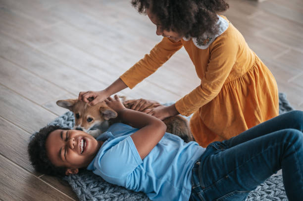 istock Siblings playing with the dog and looking excited 1400305317