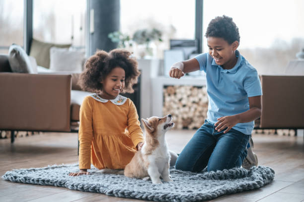 istock Two curly-haired kids playing with the puppy 1400305318