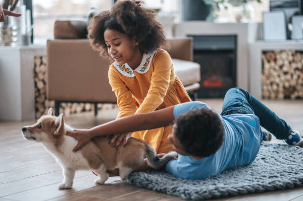 istock Two kids training the little dog and looking involved 1400305320