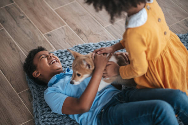 istock Siblings playing with the dog and looking excited 1400305324