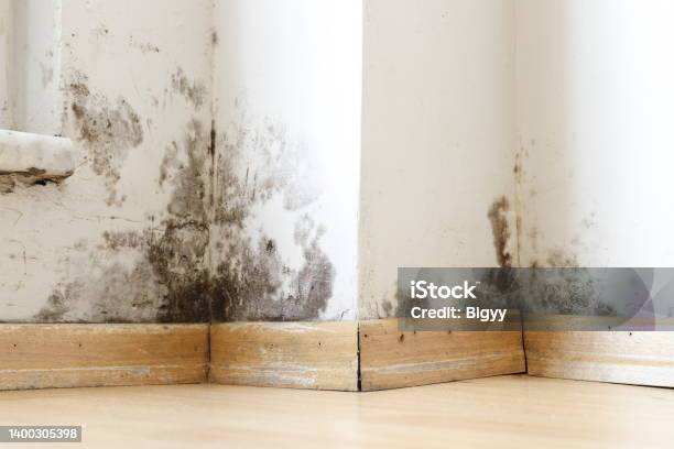 Damp Buildings Damaged By Black Mold And Fungus Dampness Or Water Stock Photo - Download Image Now