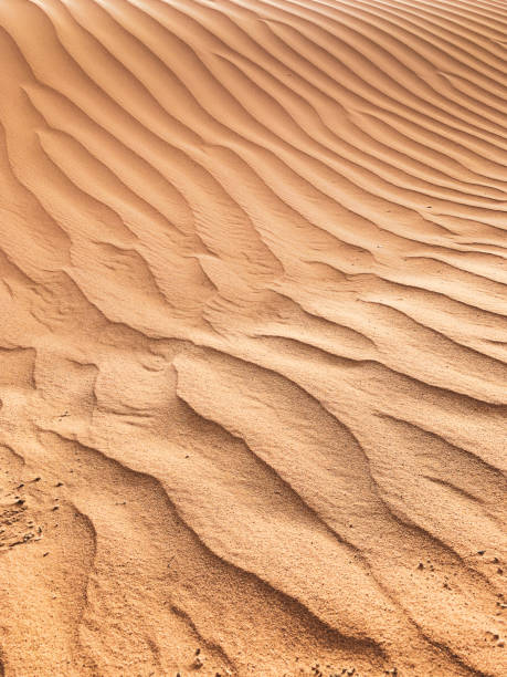istock Sand dune in the desert Wadi Rum, Jordan 1400305534