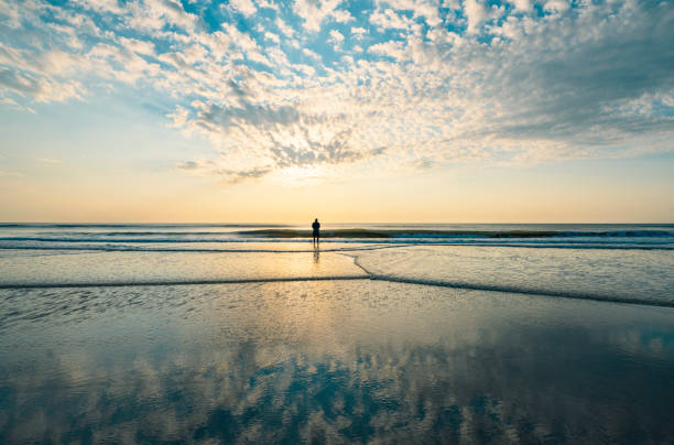 Unidentified peolpe walking on North sea sandy beach during low tide near Castricum aan Zee, winter in Netherlands