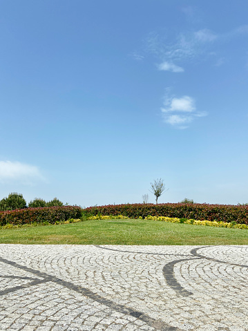 Cobblestone road in the public park with grass area and clear sky background