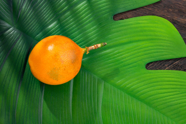 Organic ripe granadilla fruit - Passiflora ligularis