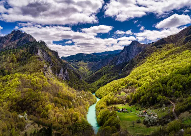 View on Tara river valley from Djurdjevica Tara bridge in Montenegro
