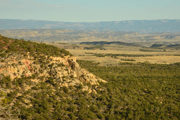 istock Picturesque Semi-Arid Landscape On a Hazy Afternoon 1400311144
