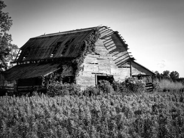 istock Vintage Barn Closeup Black & White 1400312151