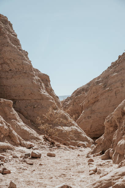 istock Anza-Borrego Desert State Park 1400313183