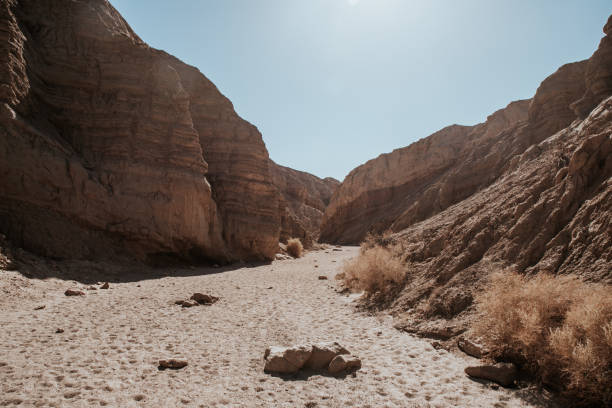 istock Anza-Borrego Desert State Park 1400313207