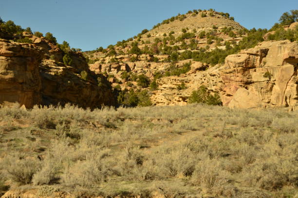 istock Typical Western Colorado Landscape 1400314811
