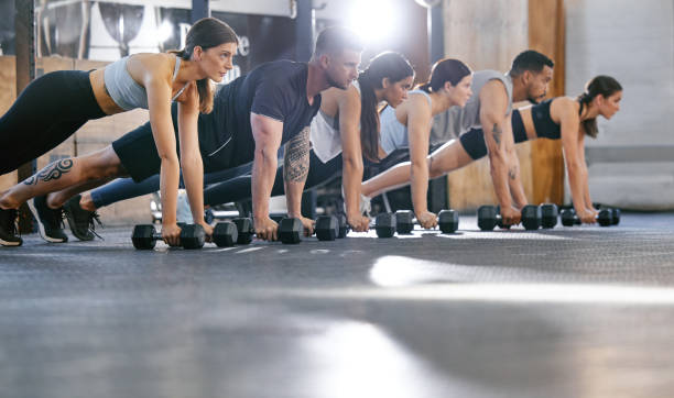 Diverse group of active young people doing plank hold and push up exercises with dumbbells while training together in a gym. Focused athletes doing press ups and renegade rows with weights to build muscle and endurance during a workout in a fitness class