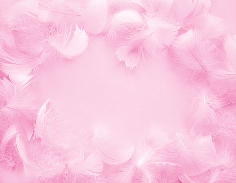 Pink fluffy bird feathers. Beautiful fog. A message to the angel. The texture of delicate feathers. soft focus.