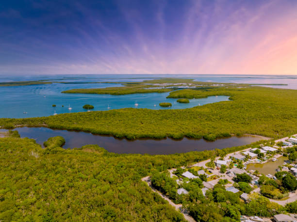 istock Beautiful sky over nature scene Florida Keys 1400324498