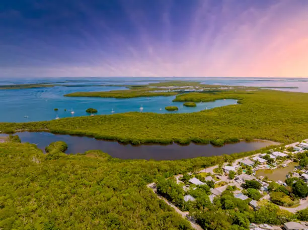 Photo of Beautiful sky over nature scene Florida Keys