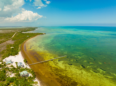 Florida Keys scuba diving destination
