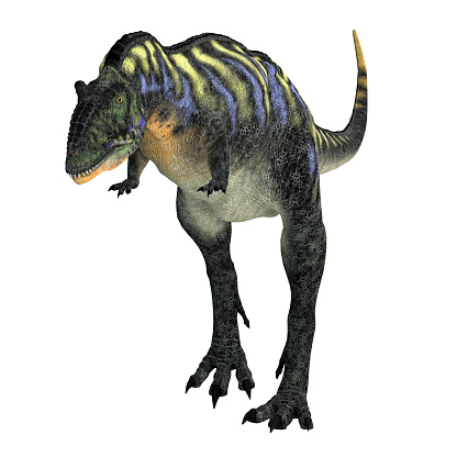 Aucasaurus was a carnivorous theropod dinosaur that lived in Argentina during the Cretaceous Period.