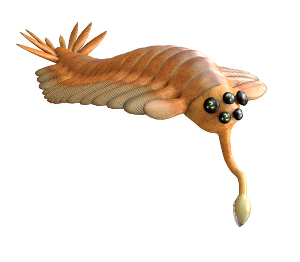 istock Cambrian Opabinia Animal 1400327321