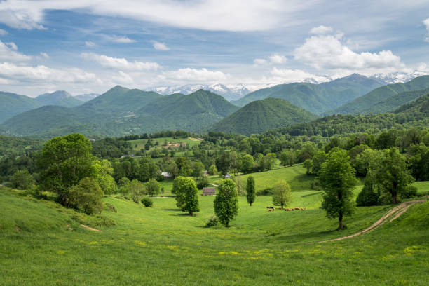 Mountain landscape in Ariege Pyrenees France