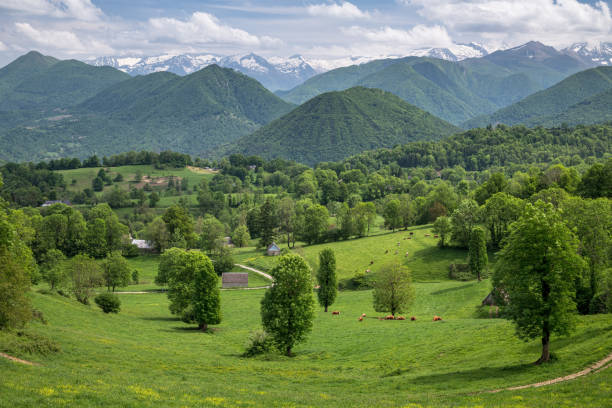 istock Mountain landscape in Ariege Pyrenees France 1400329097