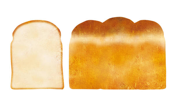 白パン 水彩画 - 食パン点のイラスト素材／クリップアート素材／マンガ素材／アイコン素材