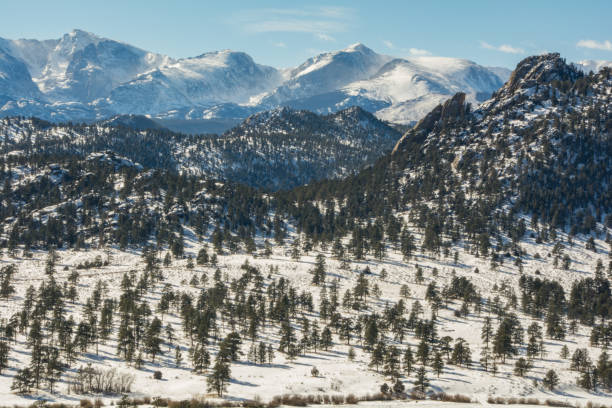 istock The Rocky Mountains above a forest valley floor 1400331110