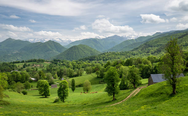 istock Mountain landscape in Ariege Pyrenees France 1400333864