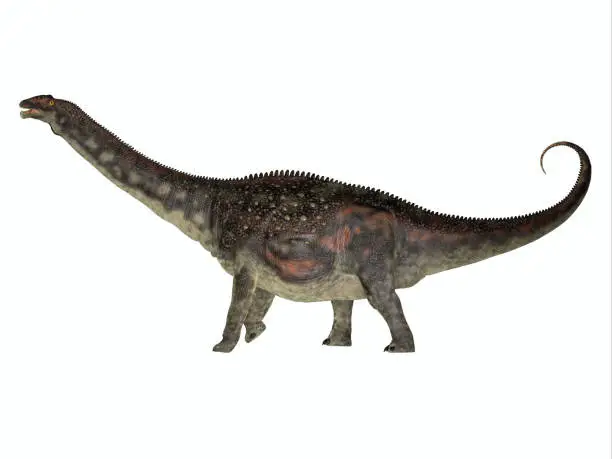 Photo of Diamantinasaurus Herbivore Dinosaur