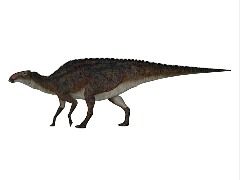 Deinocheirus dinosaur walking isolated in white background - 3D render