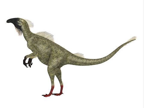 Beipiaosaurus was a feathered theropod dinosaur that lived in China during the Cretaceous Period.