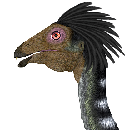 Caudipteryx was an carnivorous predatory bird that lived in China during the Cretaceous Period.