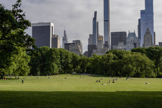 istock People inside Central Park on the grass relaxing 1400334819