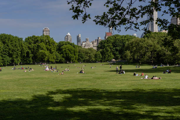 istock People inside Central Park on the grass relaxing 1400334820