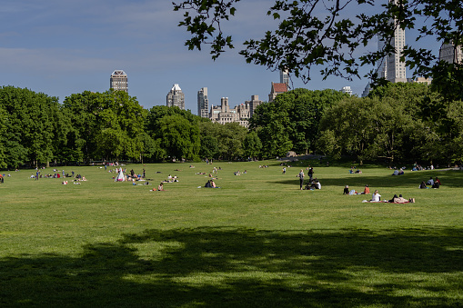 People inside Central Park on the grass relaxing