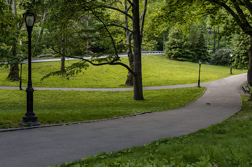 Empty paths in the park