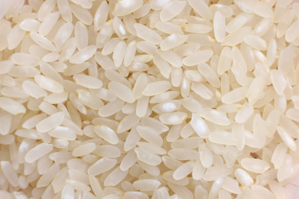 fundo de arroz - clipping path rice white rice basmati rice - fotografias e filmes do acervo