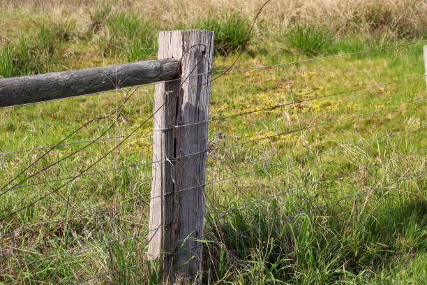 istock old timber fence and tangled wire in field 1400337418
