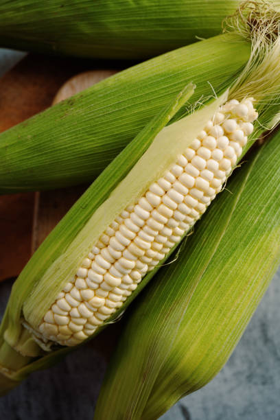 istock The sun shone on the corn 1400340551
