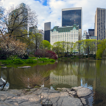 Spring in Central Park, New York City in front of Plaza hotel