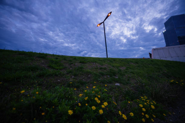 Street lights at dusk