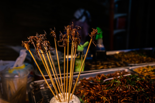 Close-Up Of Cooked Scorpions For Sale At Night market Stall
