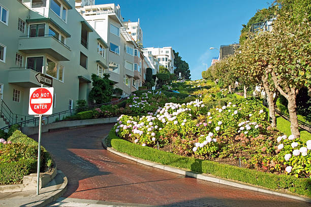 istock Lombard street in San Francisco 140035720