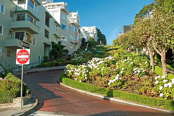 Photo of Lombard street in San Francisco