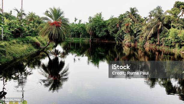Lap Of Nature Stock Photo - Download Image Now - Beauty, Beauty In Nature, Color Image